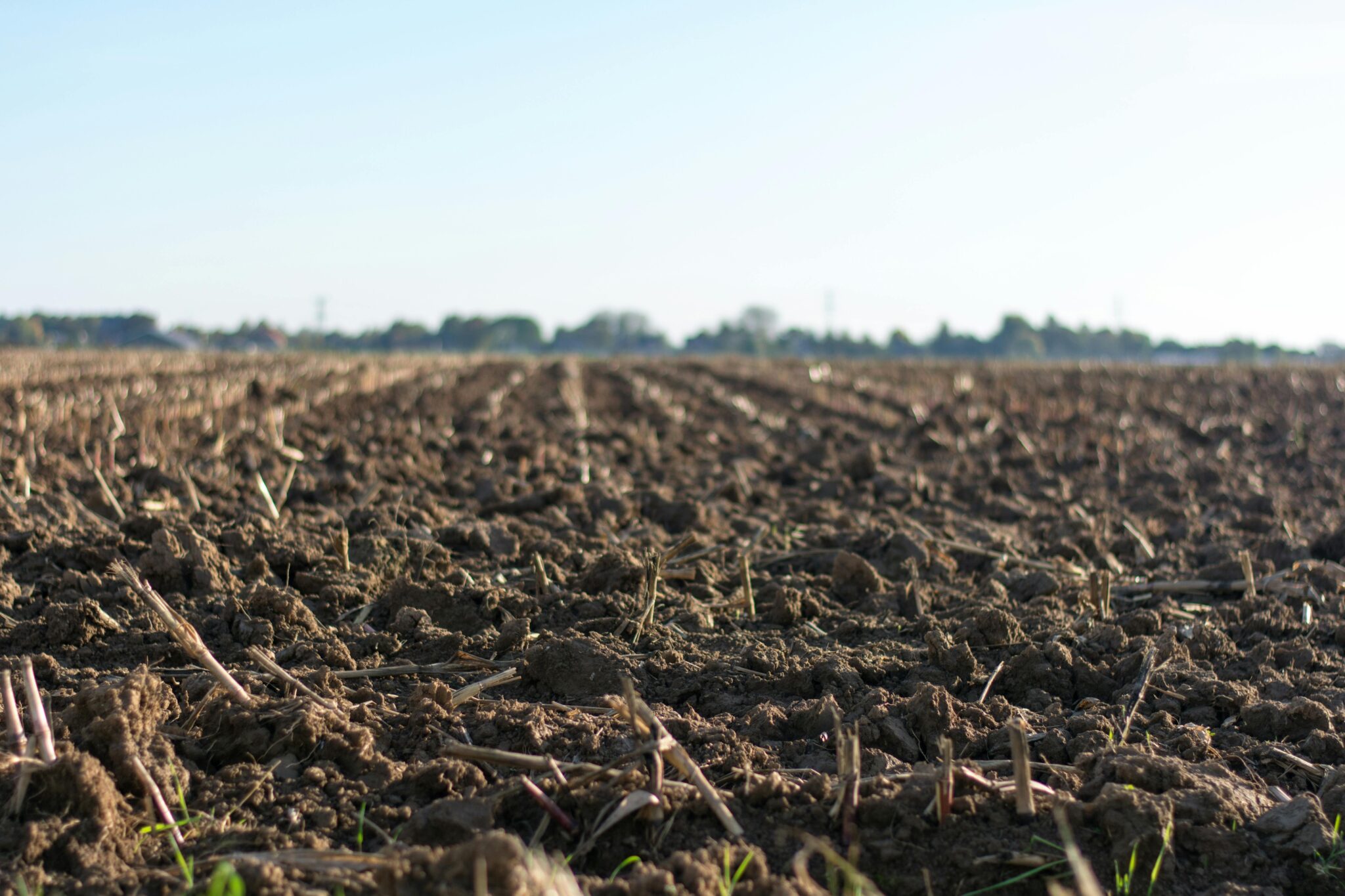 Land Control Board Consent: Essential Guide for Agricultural Land ...