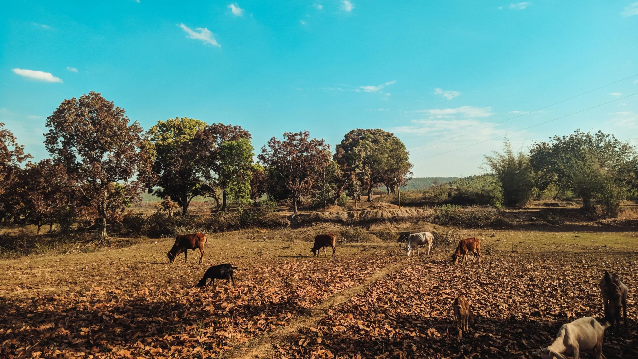 Land Control Board Consent: Essential Guide for Agricultural Land ...